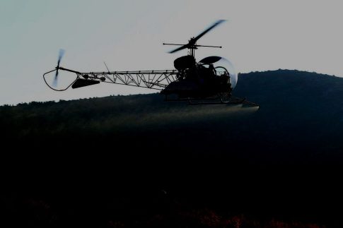 Αλεξανδρούπολη: Σημαντικές διακρίσεις για το 6<sup>ο</sup> Πειραματικό Γυμνάσιο σε Πανελλήνιους μαθητικούς διαγωνισμούς