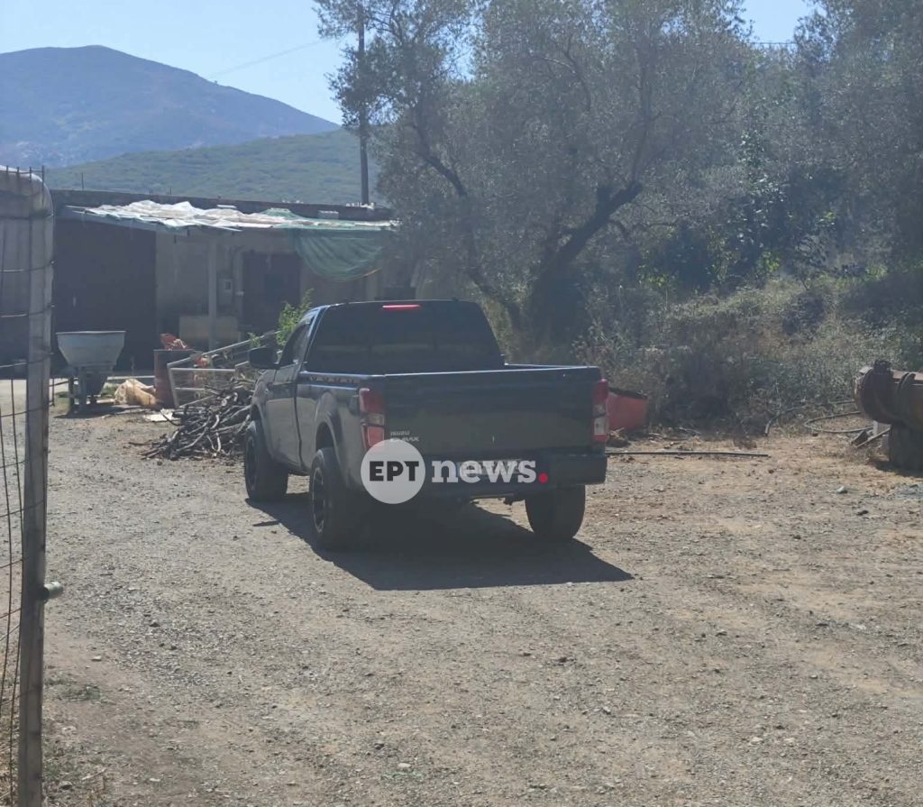 Ρέθυμνο: Στα χέρια της ΕΛ.ΑΣ. οι φερόμενοι δράστες της επίθεσης σε κτηνοτρόφο