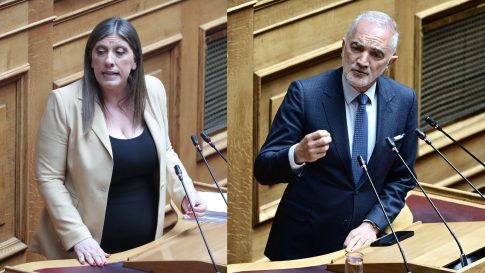 Βασιλακόπουλος στο ΕΡΤnews για τη σαλμονέλα στη Λαμία: Αναμένονται και άλλα κρούσματα – «Να μην καταναλωθεί κοτόπουλο για 2-3 ημέρες»