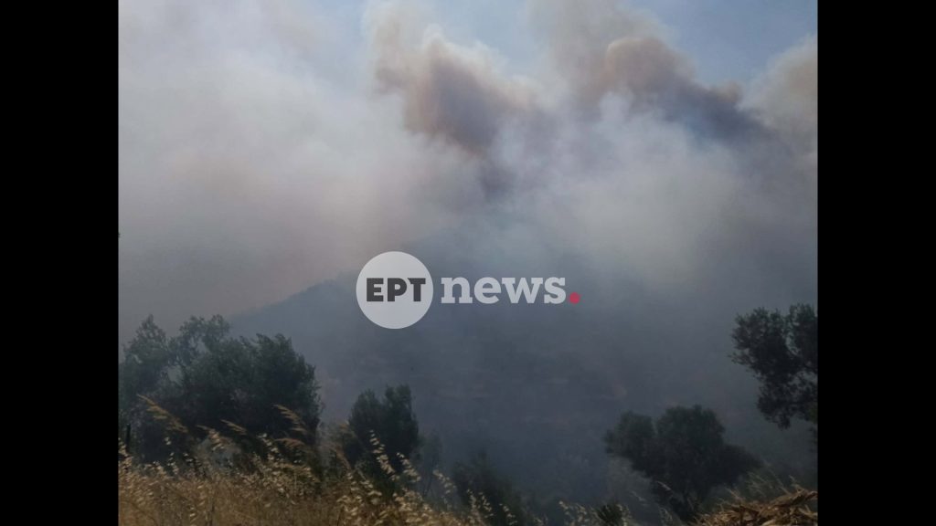 Σε δύο μέτωπα η φωτιά στο Πλωμάρι της Λέσβου – Προληπτική εκκένωση προς Άγιο Ισίδωρο