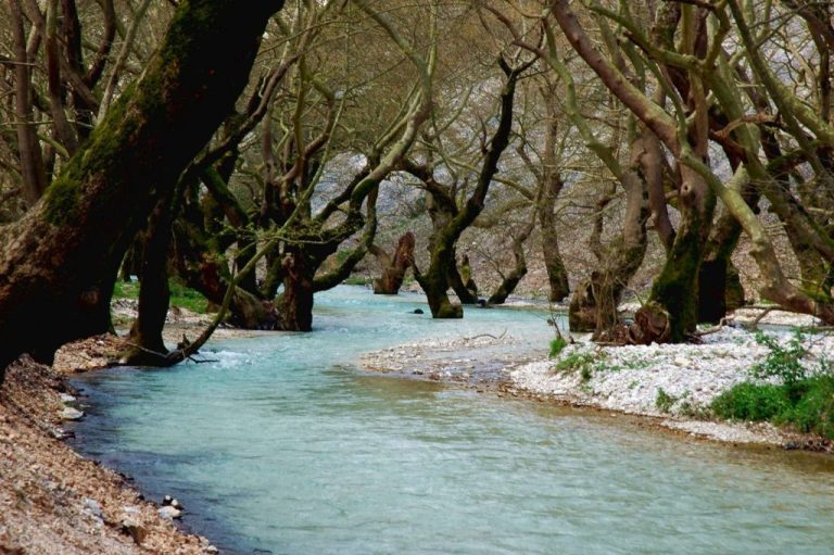 Μελέτη για Λούρο και Άραχθο: Αναγκαίοι καθαρισμοί και αντιπλημμυρικές παρεμβάσεις