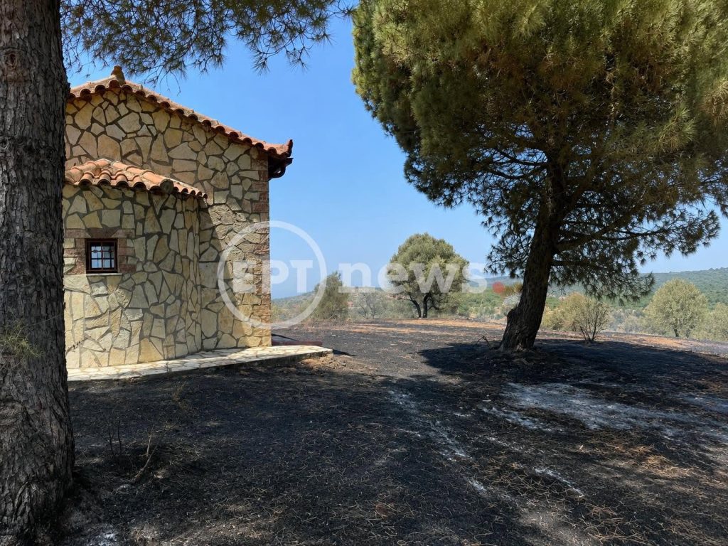 Μεσσηνία: Φωτιά μεταξύ Κοπανακίου και Αετού – Ισχυρές επίγειες και εναέριες δυνάμεις στο μέτωπο