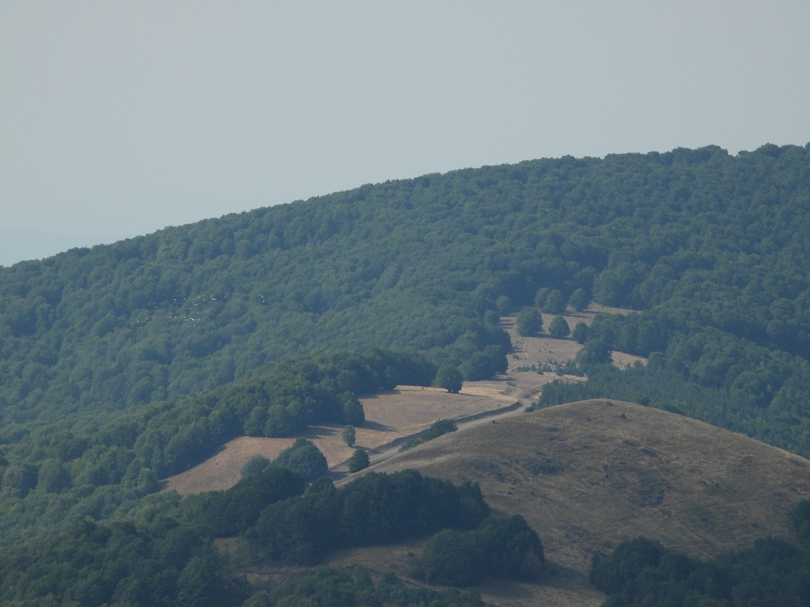oros-vernon-vitsi-credits-lazaros-kotsios-b