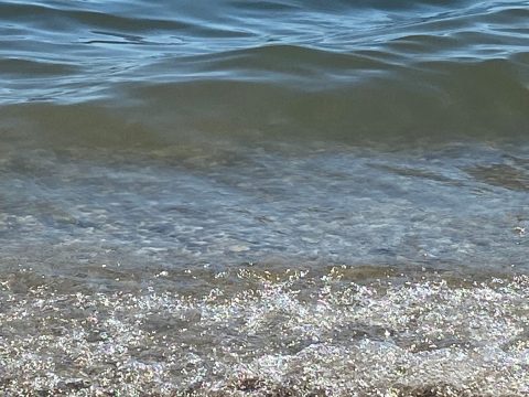 Θεσσαλονίκη: Πάνω από 100 επιχειρήσεις με περισσότερες από 2.500 θέσεις εργασίας στην 57η «Ημέρα Καριέρας» της ΔΥΠΑ
