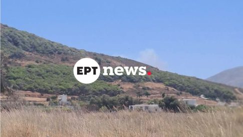 Φωτιά στην Άνδρο – 112 για την απομάκρυνση των κατοίκων από την περιοχή Παλαιόπολη