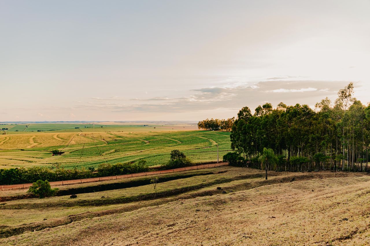pexels-stephot-15885072