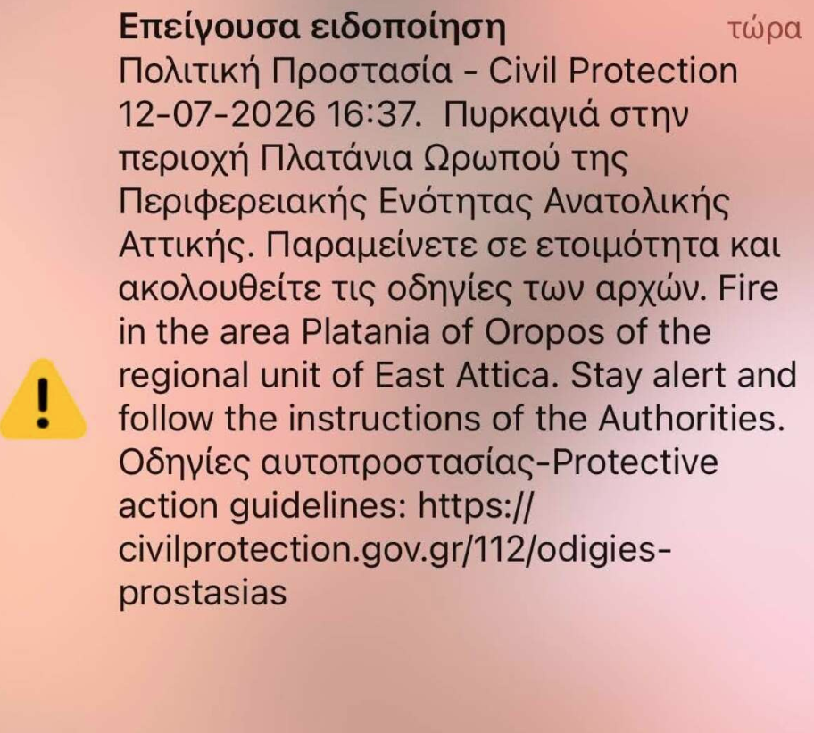 Πυρκαγιά στα Πλατάνια Ωρωπού – Ήχησε το 112
