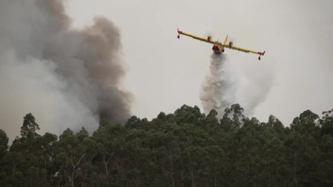 Μεγάλη φωτιά στην Καλλικράτεια Χαλκιδικής, μήνυμα από το 112 για απομάκρυνση των κατοίκων – Ενισχύθηκαν οι δυνάμεις στο Κιλκίς