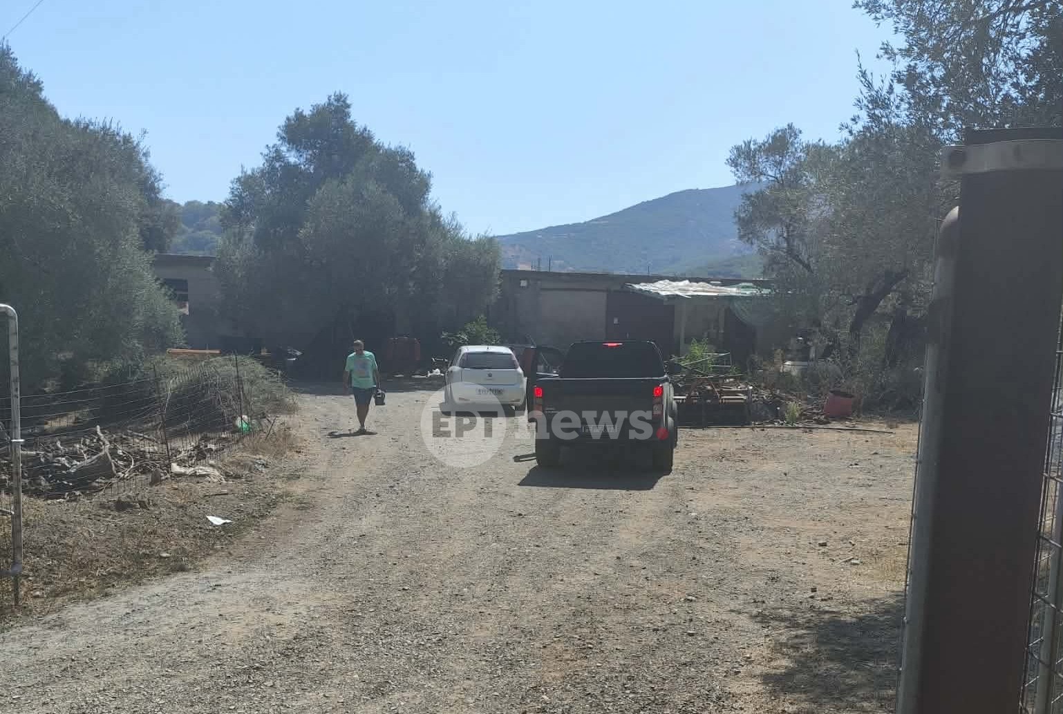 Ρέθυμνο: Στα χέρια της ΕΛ.ΑΣ. οι φερόμενοι δράστες της επίθεσης σε κτηνοτρόφο