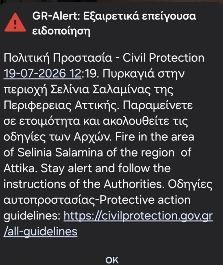 Φωτιά σε δασική έκταση στα Σελίνια Σαλαμίνας – Μήνυμα 112 για ετοιμότητα των κατοίκων