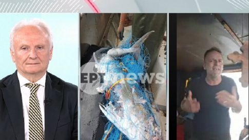 <strong>Εντοπίστηκε νεκρός ένας άνδρας στις γραμμές του ΗΣΑΠ – Προσωρινά εκτός λειτουργίας οι σταθμοί «Περισσός» και «Πευκάκια»</strong>