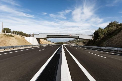<strong>Ελαιοκομικό Μητρώο: Υποχρεώσεις Ελαιοπαραγωγών για τις Δηλώσεις Συγκομιδής</strong>