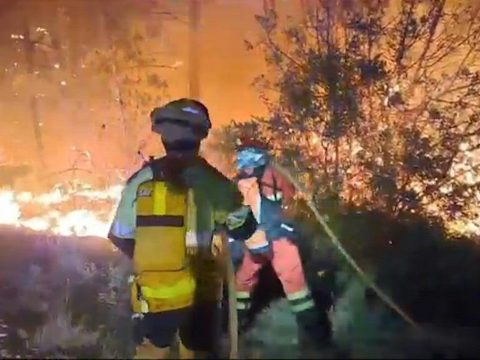 Επιστήμονες εντόπισαν την «αχίλλειο πτέρνα» ορισμένων θανατηφόρων εντερικών βακτηρίων