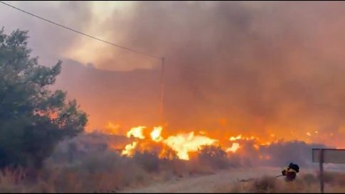 Καύσωνας: Ποιοι κινδυνεύουν περισσότερο και πότε χρειάζεται άμεση ιατρική βοήθεια – Ο καθηγητής Στ. Λουκίδης στο ΕΡΤnews