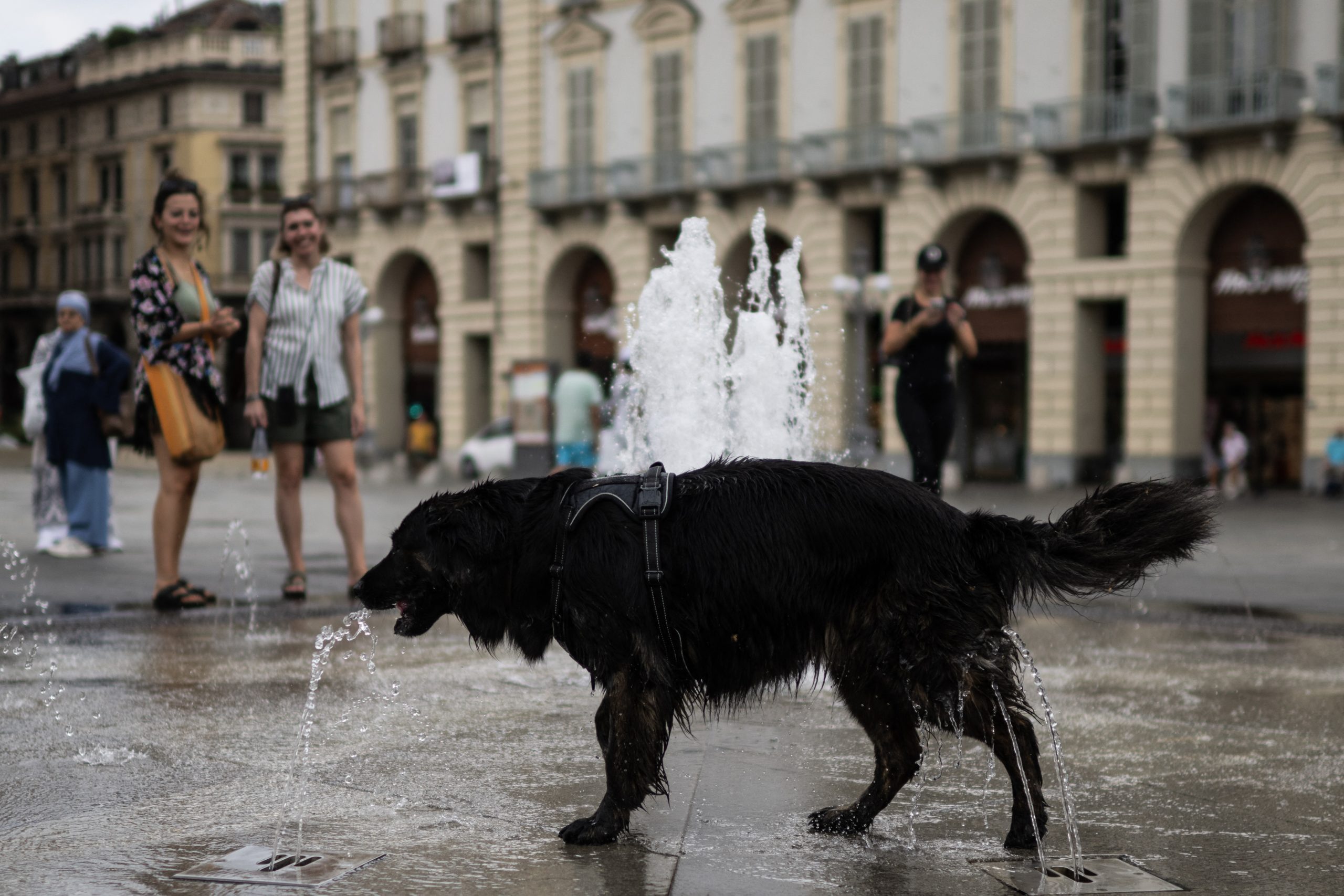 ITALY-WEATHER-HEATWAVE Θερμοκρασία 48 βαθμών σημειώθηκε στη Νάπολι – Το θερμότερο καλοκαίρι στην Ιταλία τον τελευταίο αιώνα