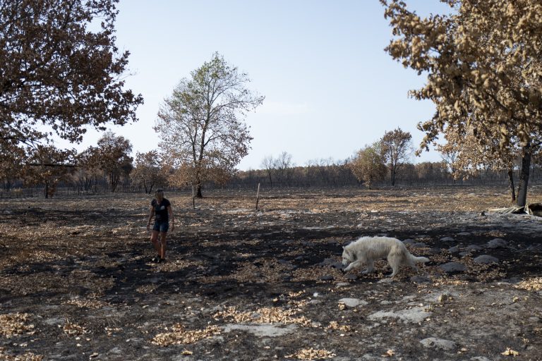 Γαλλία: Οι ακυρώσεις λόγω πυρκαγιών απειλούν την τουριστική σεζόν