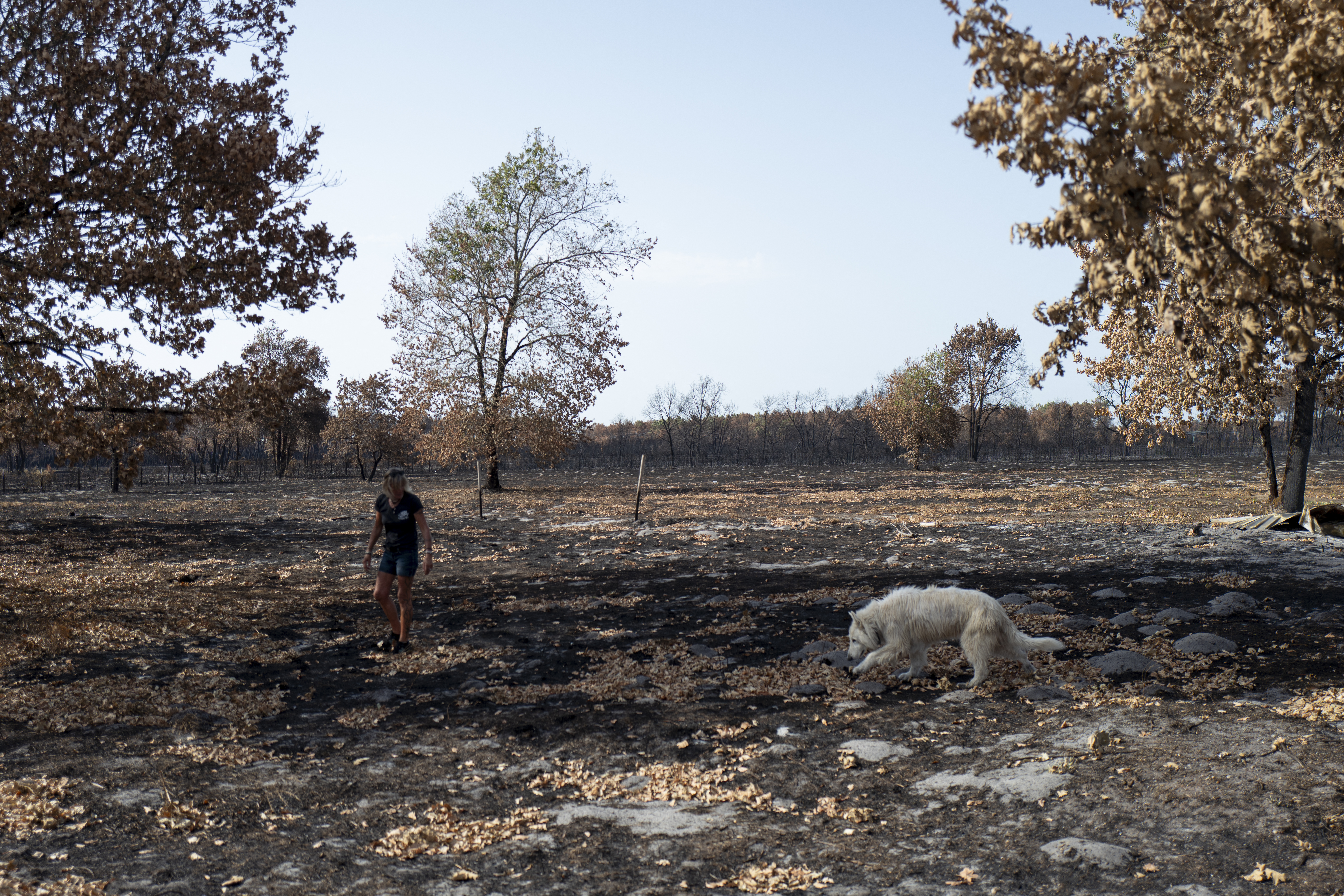 Γαλλία: Οι ακυρώσεις λόγω πυρκαγιών απειλούν την τουριστική σεζόν