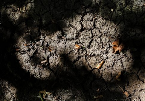 Κίνα: Η «Λίμνη του Νεφρίτη» με τα σμαραγδένια νερά προσελκύει χιλιάδες επισκέπτες