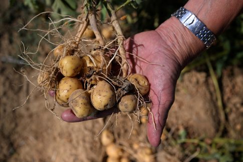 Νόμπελ Χημείας 2025: Στους Σουσούμου Κιταγκάουα, Ρίτσαρντ Ρόμπσον και Όμαρ Γιάγκι το φετινό βραβείο