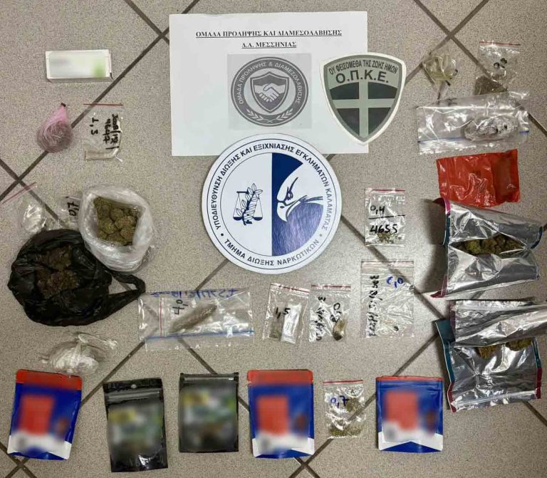 Ελαία Τριφυλίας: 17 συλλήψεις κατασκηνωτών σε αστυνομική επιχείρηση στο παραθαλάσσιο αλσύλλιο