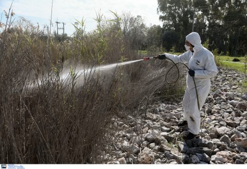 Γάζα: Τρεις Παλαιστίνιους σκότωσαν οι ισραηλινές δυνάμεις κατοχής