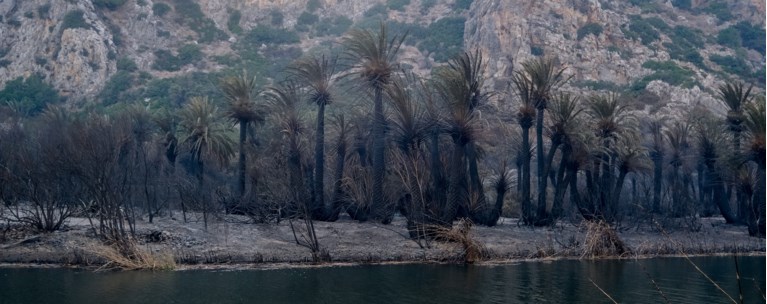 Θετική η ανταπόκριση της Πυροσβεστικής για αναβάθμιση του κλιμακίου Σπηλίου στον Δήμο Αγ. Βασιλείου