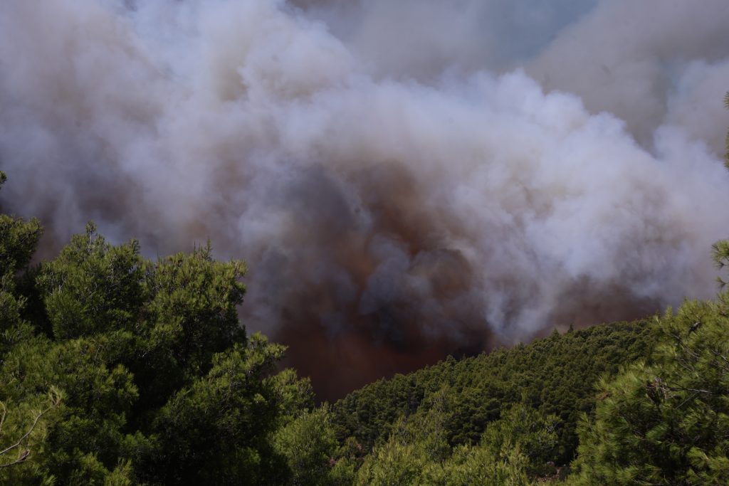 Στις φλόγες το Πόρτο Γερμενό: Oι άνεμοι οδηγούν τη φωτιά προς Κιθαιρώνα και Ψάθα – Καίγονται σπίτια, μήνυμα 112 για εκκένωση προς τα Βίλια