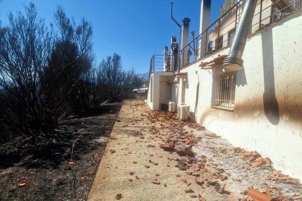 Αίγιο: Βελτιωμένη η κατάσταση στο μέτωπο της πυρκαγιάς – Δεν απειλούνται κατοικίες, αλλά καλλιεργήσιμες εκτάσεις