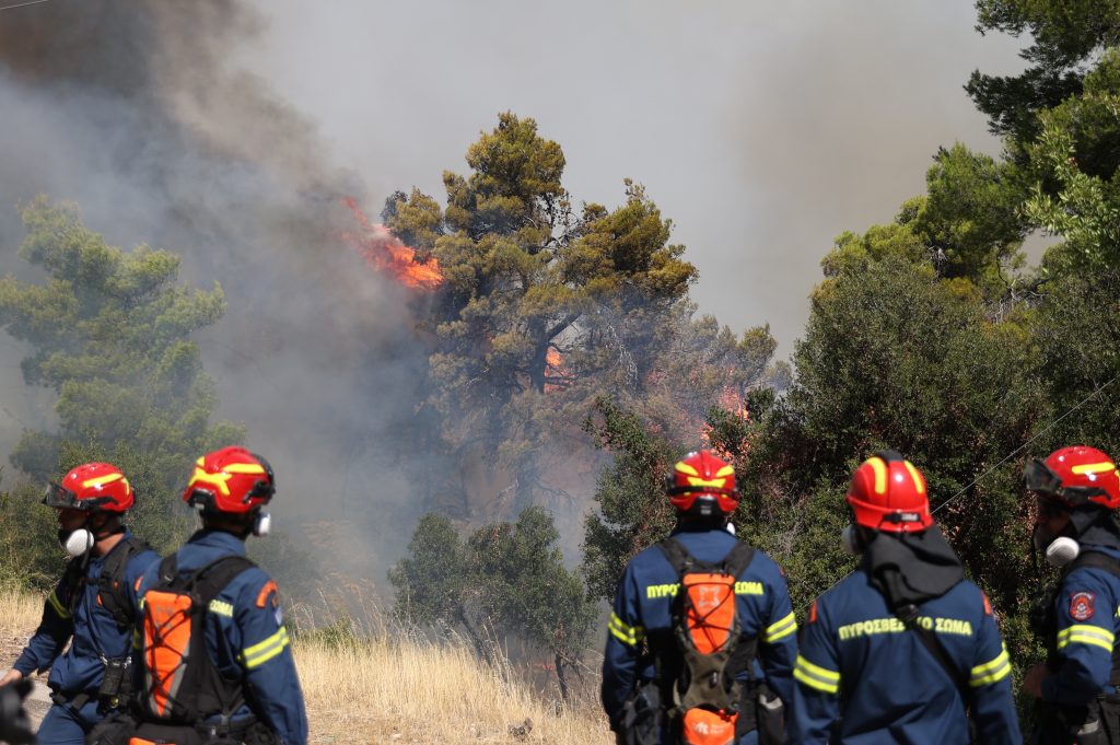 Φωτιά στον Κιθαιρώνα: Κρίσιμες ώρες για τη Βένιζα – Αγωνία να μη φτάσει σε Βίλια και Μέγαρα- Άρχισαν να επιχειρούν και αεροσκάφη