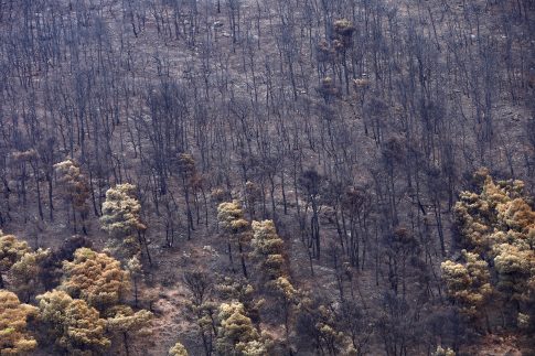 Τσίπρας: Η δεύτερη κάλπη είναι η κάλπη της ανατροπής – Η Δικαιοσύνη αποφασίζει ποιος λογοδοτεί, όχι η κυβέρνηση