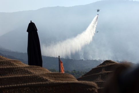 Λαγουβάρδος στο ΕΡΤnews: Σε 10 χρόνια έχει καεί πάνω από το 60% των δασών στη Δυτική Αττική