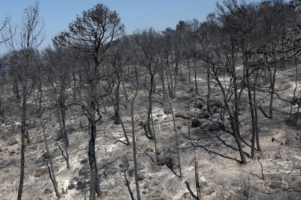 Δυτική Αττική: Η επόμενη ημέρα της καταστροφής ανάμεσα στη στάχτη και τα αποκαΐδια – Το αποτύπωμα της φωτιάς