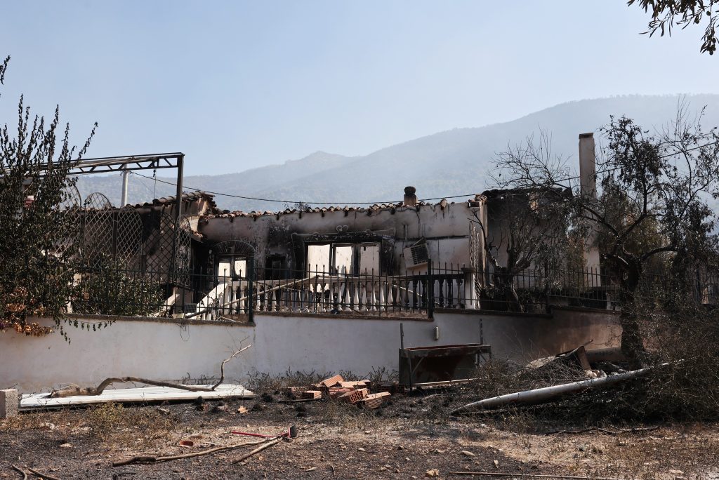 Δυτική Αττική: Η επόμενη ημέρα της καταστροφής ανάμεσα στη στάχτη και τα αποκαΐδια – Το αποτύπωμα της φωτιάς