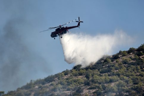 <strong>Ε. Λιακούλη: «Πλήρης η αποτυχία της διεθνούς κοινότητας στην προστασία των αμάχων»</strong>