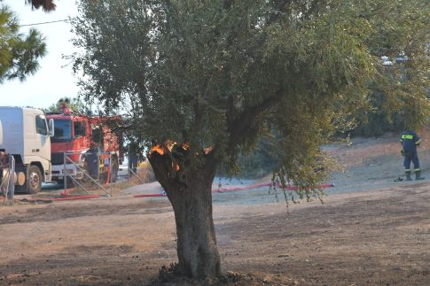 Ελλιπής η τροφοδοσία της τηλεθέρμανσης Κοζάνης από τον ΑΗΣ Αγίου Δημητρίου – Τι λέει η <strong>Δ.Ε.Υ.Α.</strong>