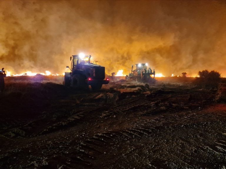 Μάχη με πολλαπλά πύρινα μέτωπα στη Δυτική Αττική – Ανεξέλεγκτες οι φλόγες σε Ψάθα, Μέγαρα και Άγιο Νεκτάριο