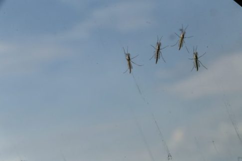 <em>Ενημερωτική εκδήλωση για τον καρκίνο του μαστού στο Κέντρο Υγείας Λιτοχώρου</em>