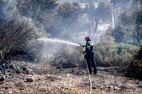 Κεφαλονιά: Συνελήφθησαν δύο αλλοδαποί που έκλεβαν χρυσοχοεία με τη μέθοδο της απασχόλησης