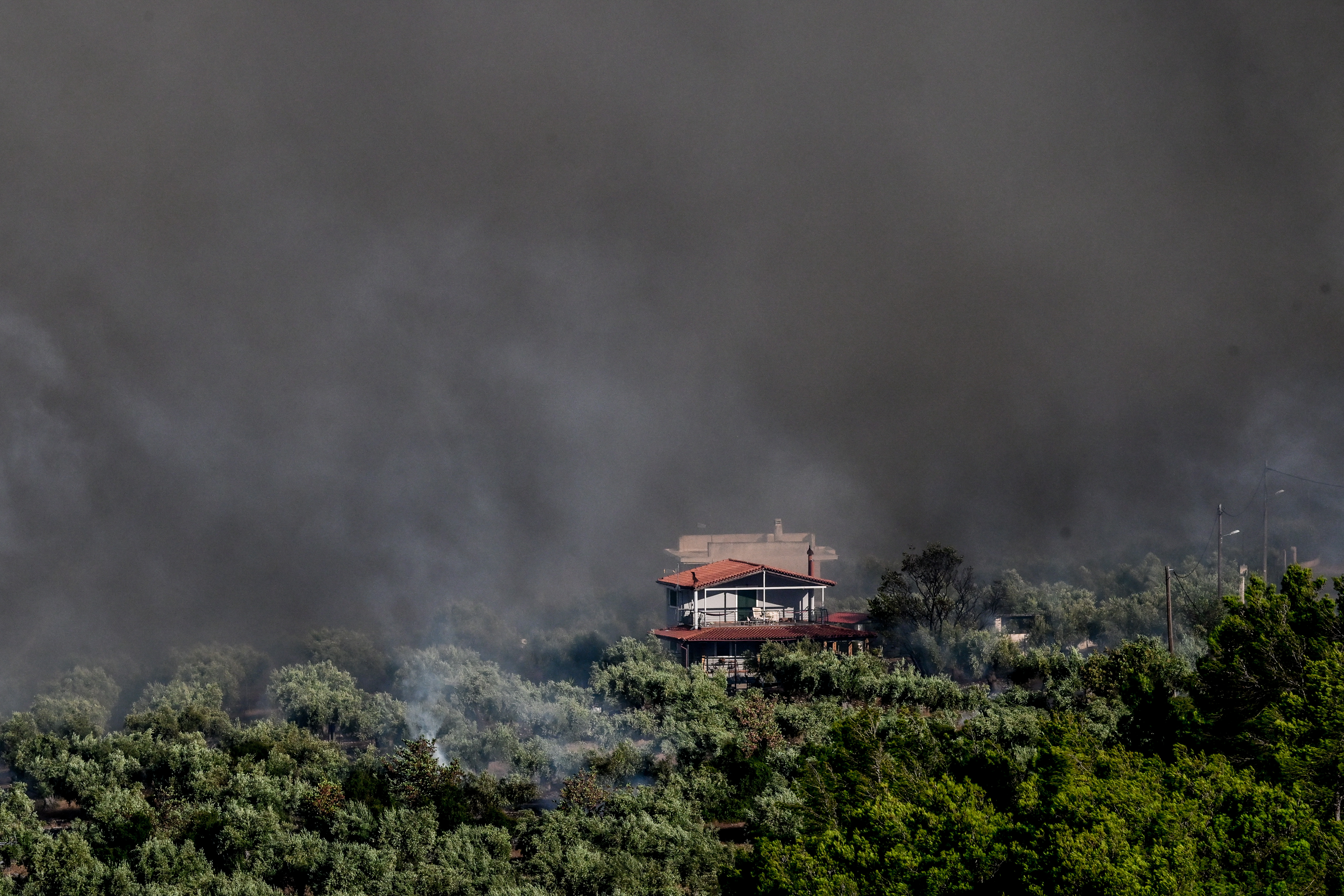 Βοιωτία: Συνεχίζεται η μάχη με τις φλόγες – Η φωτιά κατευθύνεται προς Δομβραίνα