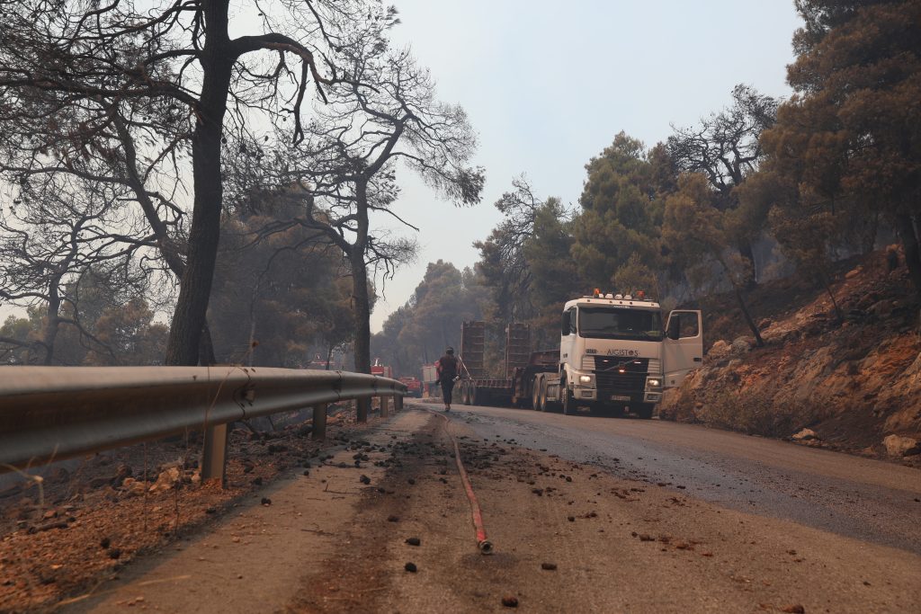 Πόρτο Γερμενό: Η επόμενη μέρα μετά την πυρκαγιά – Εικόνες καταστροφής στην περιοχή