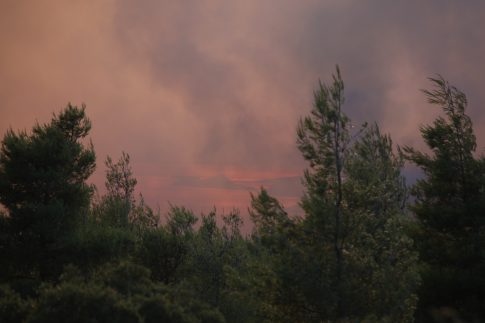 Η χαρτογράφηση των καμένων εκτάσεων σε Αττική και Βοιωτία – Δορυφορικές εικόνες αποτυπώνουν το μέγεθος της καταστροφής