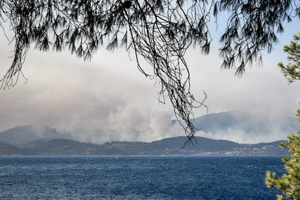 Φωκίδα: Βελτιωμένη η εικόνα της πυρκαγιάς – Ολονύκτια μάχη με αναζωπυρώσεις – Κάηκαν τουλάχιστον δύο σπίτια