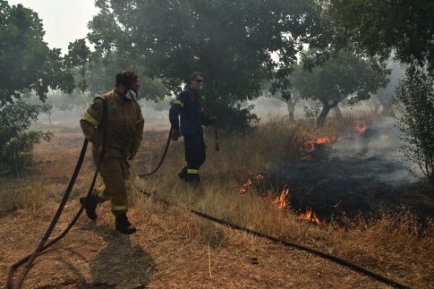 Βελόπουλος για πυρκαγιές: O Κ. Μητσοτάκης δεν ενδιαφέρεται ούτε για την πυρόσβεση, ούτε για την πρόληψη – Παραιτήσεις τώρα
