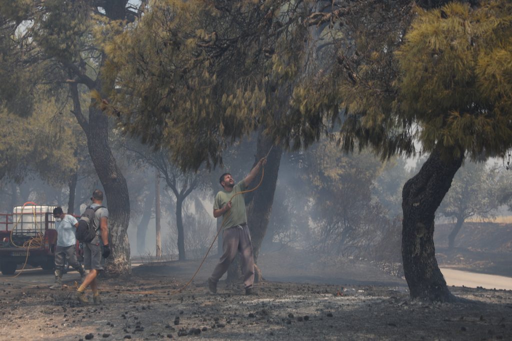 Πόρτο Γερμενό: Η επόμενη μέρα μετά την πυρκαγιά – Εικόνες καταστροφής στην περιοχή
