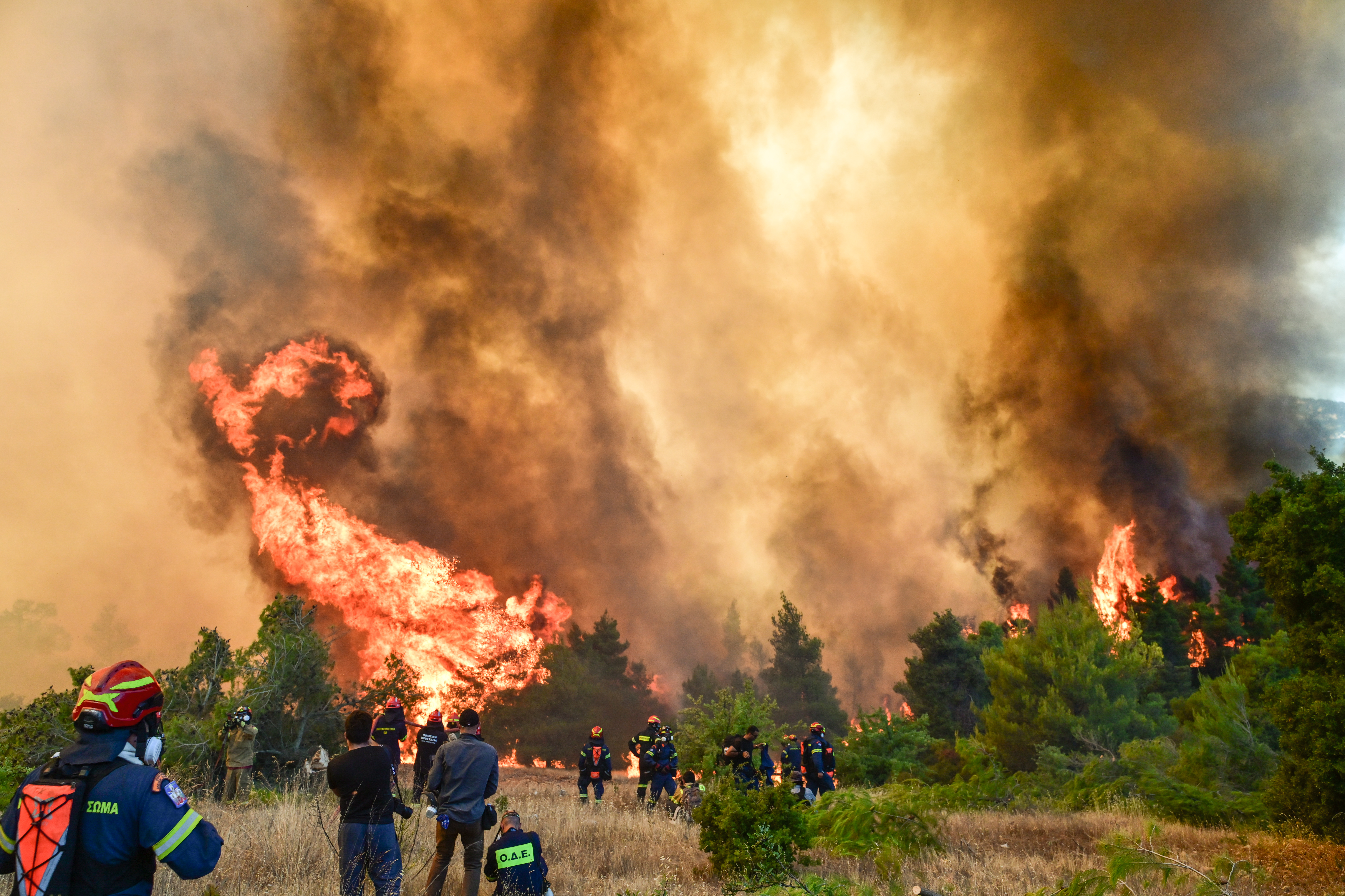 Σε πλήρη κινητοποίηση ο κρατικός μηχανισμός για τη στήριξη των πληγέντων από τις πυρκαγιές – Αυτοψίες σε έξι δήμους