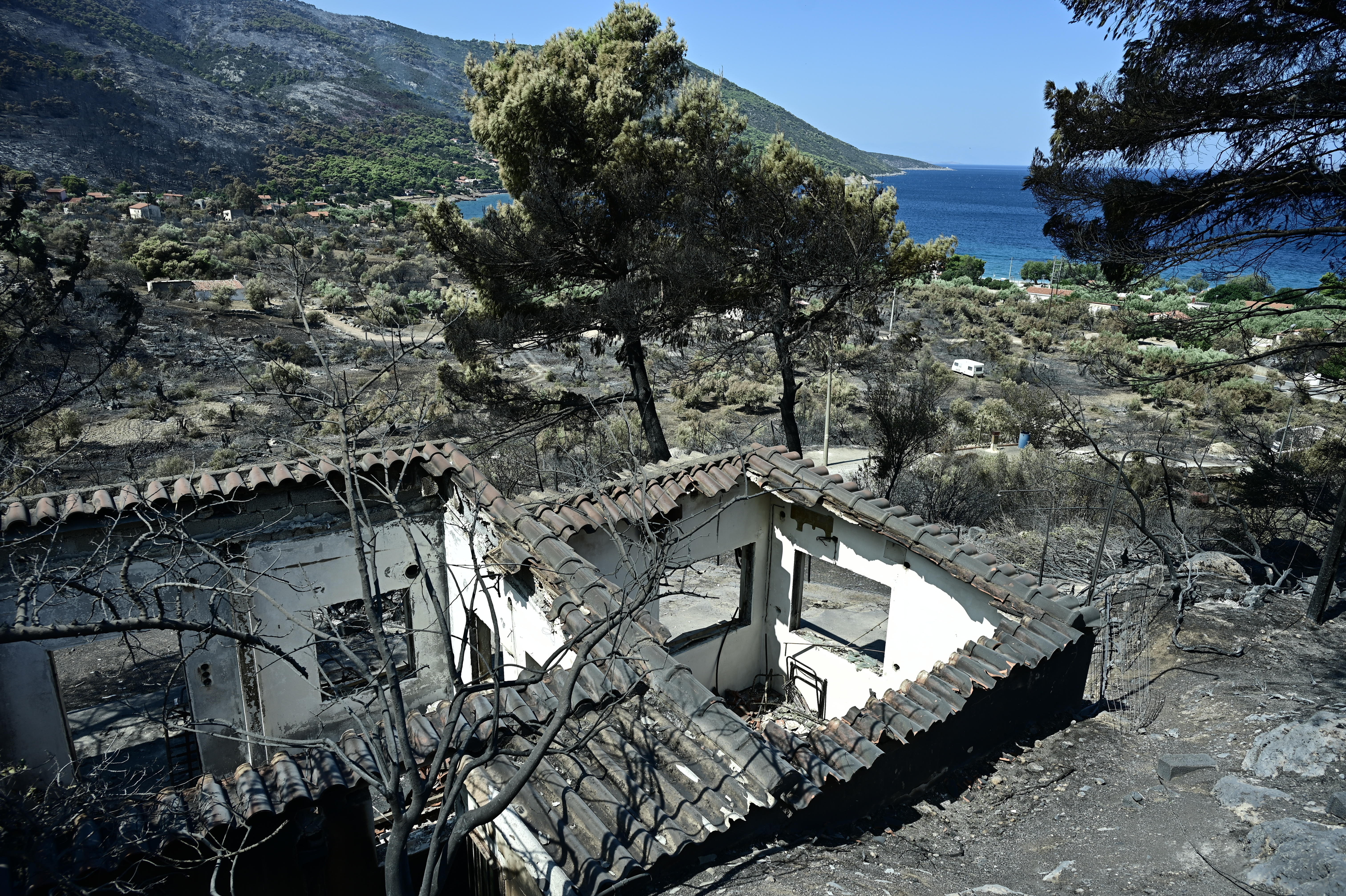 LIVE – Φωτιά στη Δυτική Αττική: Αδιάκοπη μάχη σε Κανδήλι και Αγία Σκέπη – Kίνδυνος αναζωπυρώσεων, συνεχείς ρίψεις και ισχυρές επίγειες δυνάμεις