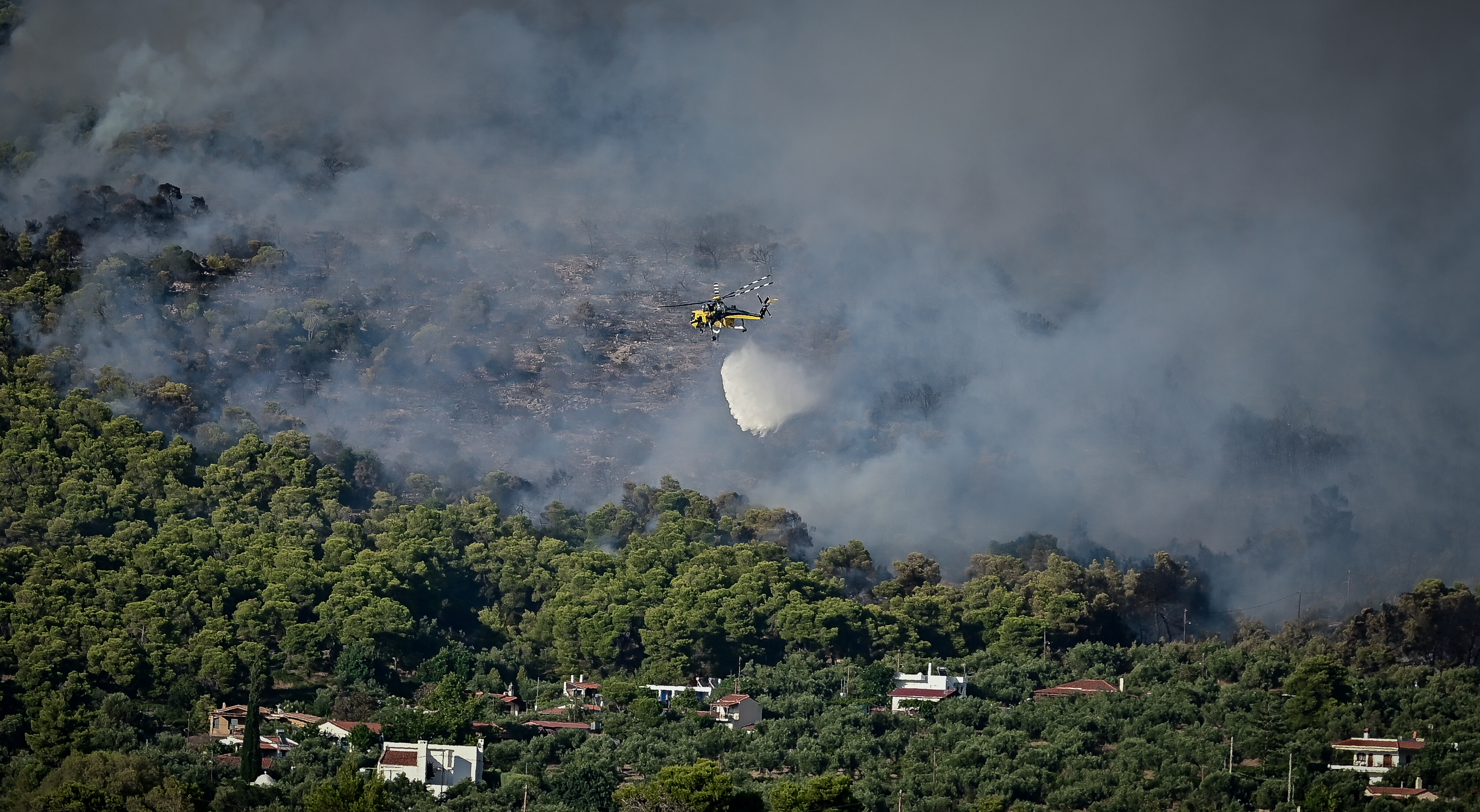 Δ. Σαρηγιάννης στο ΕΡΤnews: Οι πυρκαγιές αφήνουν μακροχρόνιο αποτύπωμα σε οικοσυστήματα και ανθρώπινη υγεία