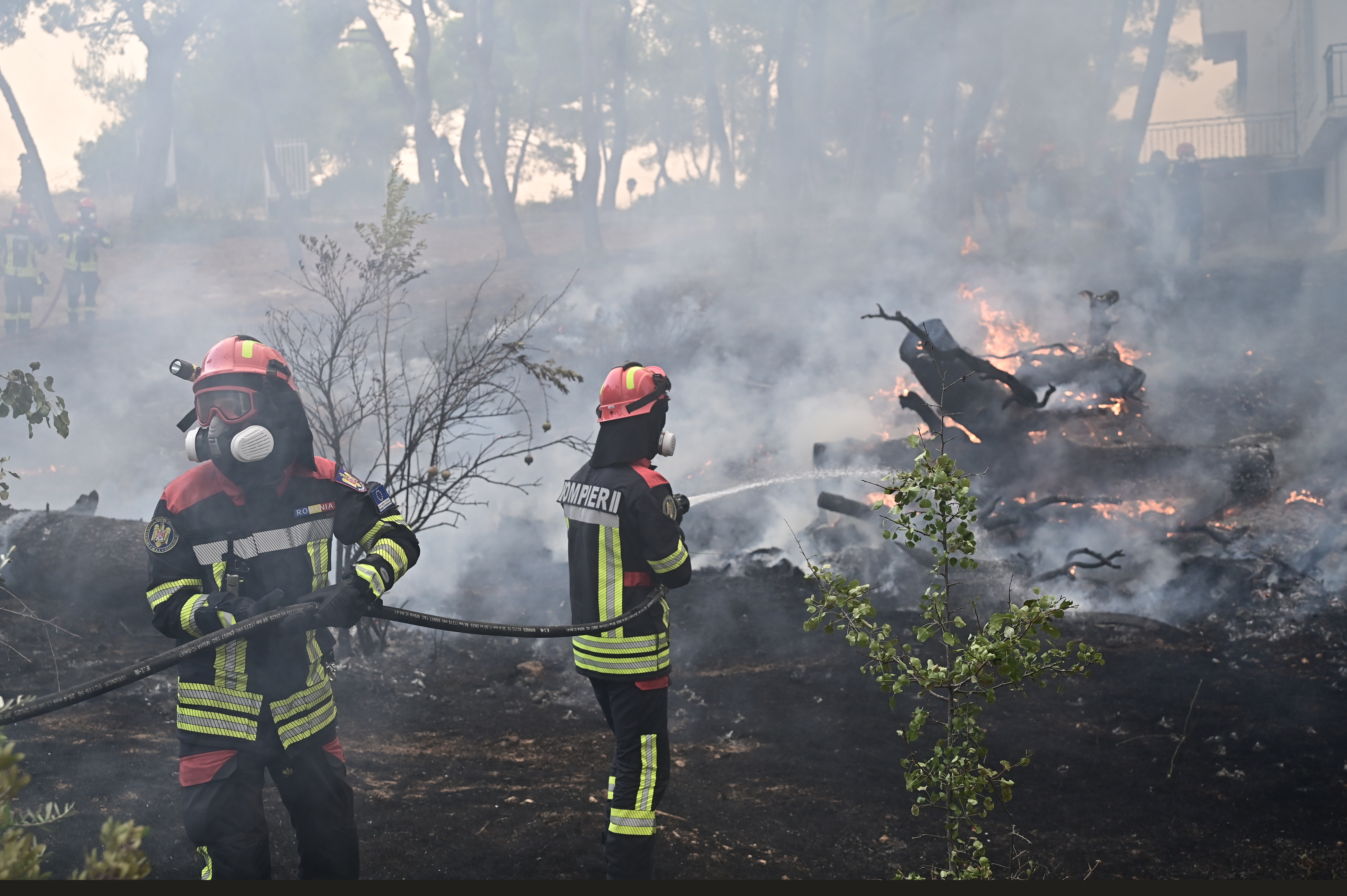 Γ. Αρτοποιός στο ΕΡΤnews: «Η πυρκαγιά δεν θα τελειώσει έτσι εύκολα – Στόχος να παραμείνει εντός περιμέτρου»