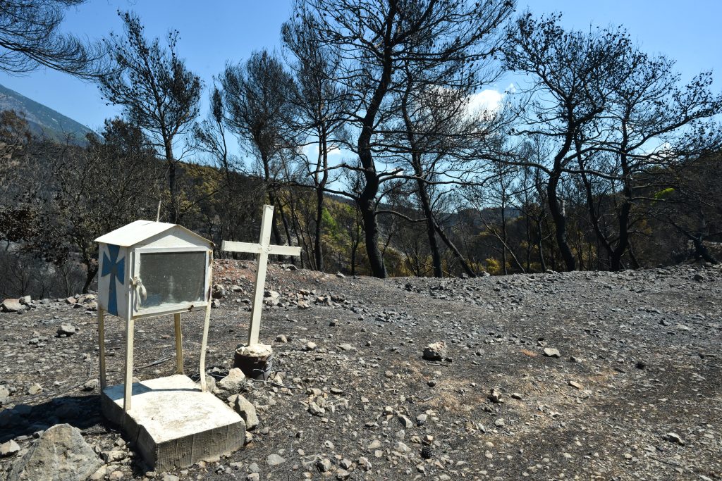 Δυτική Αττική: Η επόμενη ημέρα της καταστροφής ανάμεσα στη στάχτη και τα αποκαΐδια – Το αποτύπωμα της φωτιάς