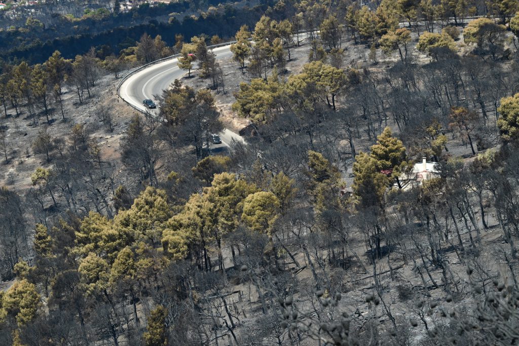 Δυτική Αττική: Η επόμενη ημέρα της καταστροφής ανάμεσα στη στάχτη και τα αποκαΐδια – Το αποτύπωμα της φωτιάς